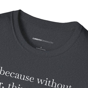 Without Beer Things Don't Go So Well - Currently Drinking Unisex Softstyle T-Shirt - Creative Media Commerce