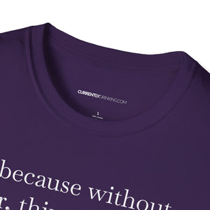 Without Beer Things Don't Go So Well - Currently Drinking Unisex Softstyle T-Shirt - Creative Media Commerce