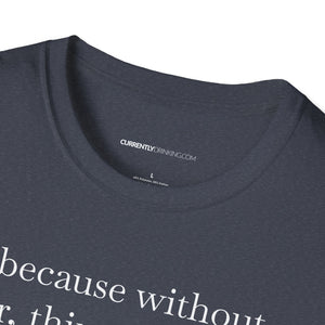 Without Beer Things Don't Go So Well - Currently Drinking Unisex Softstyle T-Shirt - Creative Media Commerce