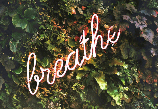 Mid-Day Meditation Guided Meditation for Breath Awareness - Creative Media Commerce