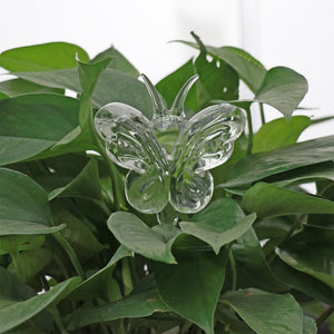 Houseplant Automatic Self Watering Glass Bird Watering Cans Flowers Plant Decorative Clear Glass Watering Device 12 Shapes - Creative Media Commerce