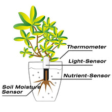 Load image into Gallery viewer, Original International Version Youpin HHCC Flora Monitor Digital Plants Grass Flower Care Soil Water Tester Sensor Plant Detecto - Creative Media Commerce