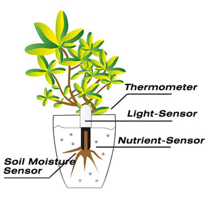 Original International Version Youpin HHCC Flora Monitor Digital Plants Grass Flower Care Soil Water Tester Sensor Plant Detecto - Creative Media Commerce