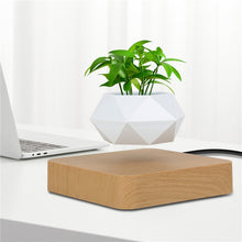 Load image into Gallery viewer, Levitating Air Bonsai Pot Rotation Flower Pot Planters Magnetic  Suspension Floating Pot Potted Plant Home Desk Decor - Creative Media Commerce