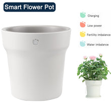 Load image into Gallery viewer, Original International Version Youpin HHCC Flora Monitor Digital Plants Grass Flower Care Soil Water Tester Sensor Plant Detecto - Creative Media Commerce