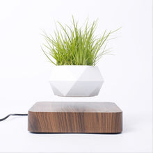 Load image into Gallery viewer, Levitating Air Bonsai Pot Rotation Flower Pot Planters Magnetic  Suspension Floating Pot Potted Plant Home Desk Decor - Creative Media Commerce