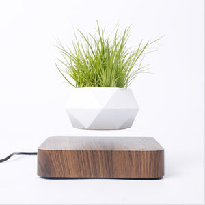 Levitating Air Bonsai Pot Rotation Flower Pot Planters Magnetic  Suspension Floating Pot Potted Plant Home Desk Decor - Creative Media Commerce