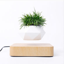 Load image into Gallery viewer, Levitating Air Bonsai Pot Rotation Flower Pot Planters Magnetic  Suspension Floating Pot Potted Plant Home Desk Decor - Creative Media Commerce