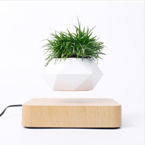 Levitating Air Bonsai Pot Rotation Flower Pot Planters Magnetic  Suspension Floating Pot Potted Plant Home Desk Decor - Creative Media Commerce