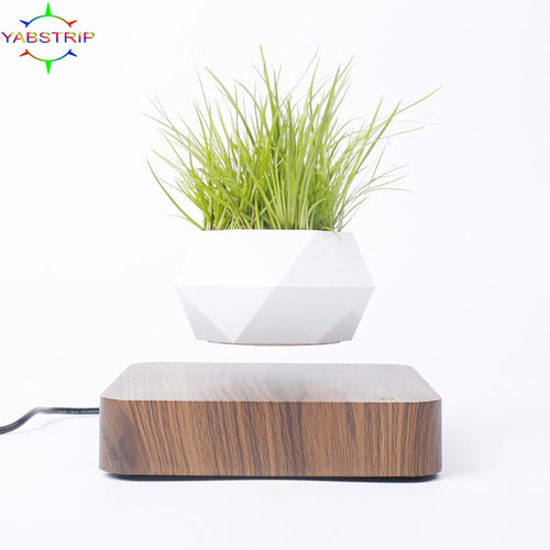 Levitating Air Bonsai Pot Rotation Flower Pot Planters Magnetic  Suspension Floating Pot Potted Plant Home Desk Decor - Creative Media Commerce