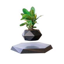 Load image into Gallery viewer, Levitating Air Bonsai Pot Rotation Flower Pot Planters Magnetic  Suspension Floating Pot Potted Plant Home Desk Decor - Creative Media Commerce