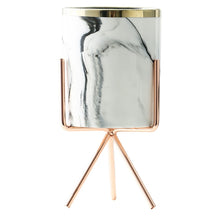 Load image into Gallery viewer, Nordic Ceramic Iron Art Vase Marble Pattern Rose Gold Silver Tabletop Green Plant Pot Home Office Vases Decorative - Creative Media Commerce